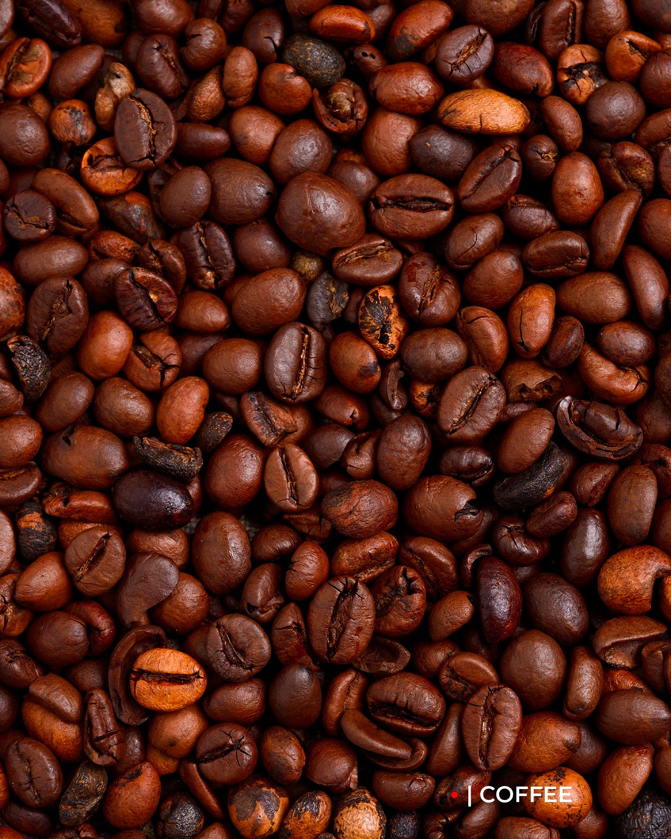 ZEMIRA - PROFUMO 100ML