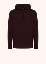 SWEATSHIRT HOODED CASHMERE