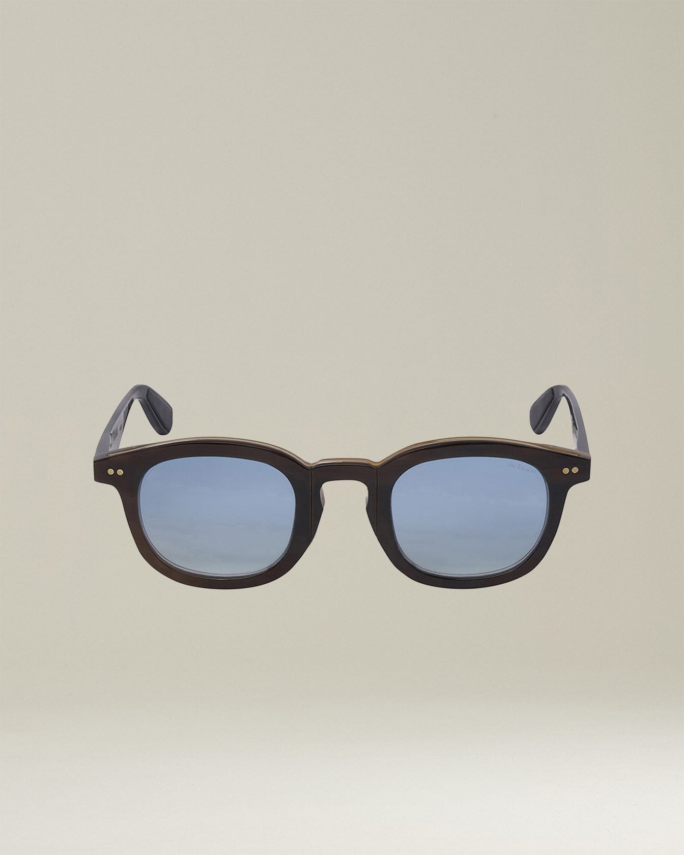 PATHOS - HORN SUNGLASSES